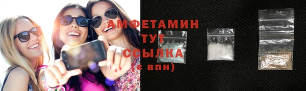 ECSTASY Бородино