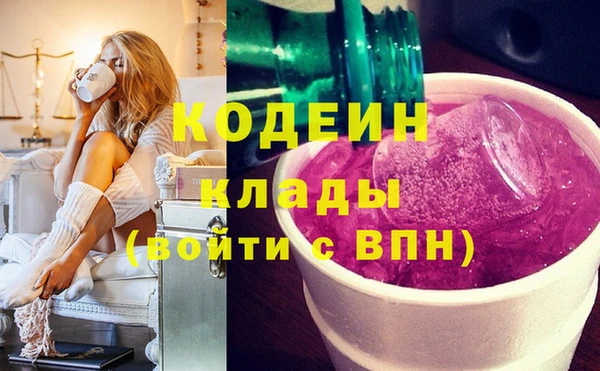 СК Бронницы