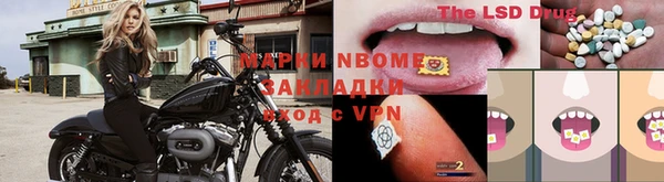 ECSTASY Бородино