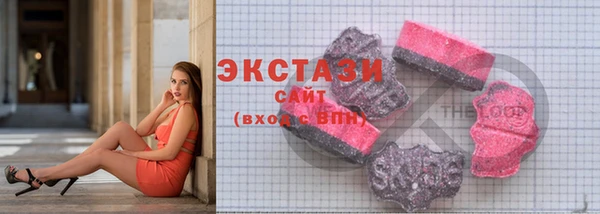 ECSTASY Бородино