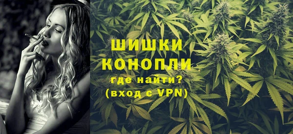 СК Бронницы