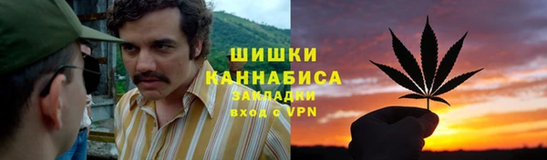 ECSTASY Бородино