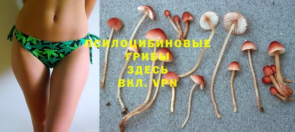 СК Бронницы