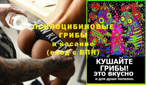СК Бронницы