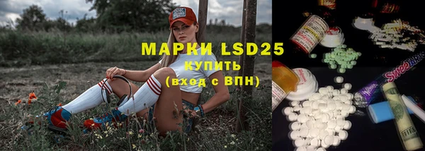 СК Бронницы