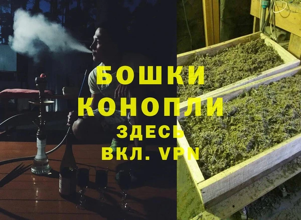 СК Бронницы