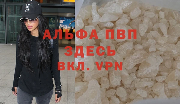 ECSTASY Бородино
