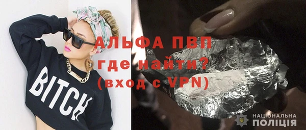 ECSTASY Бородино